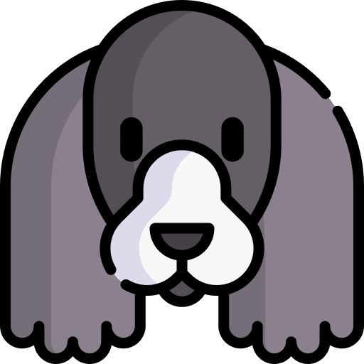 Cocker spaniel dog pet cocker spaniel icon