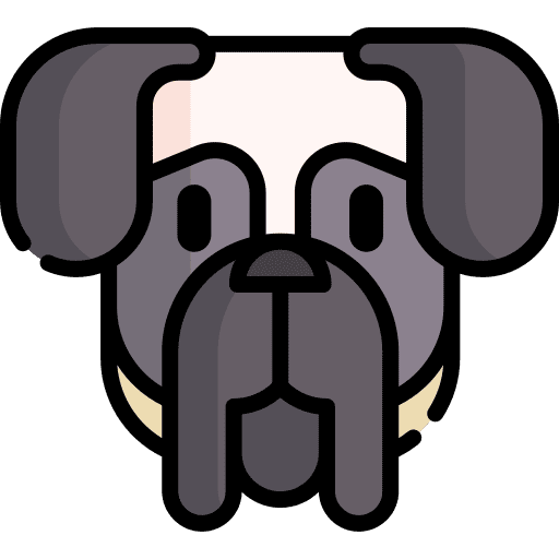 English mastiff breed dog pet icon