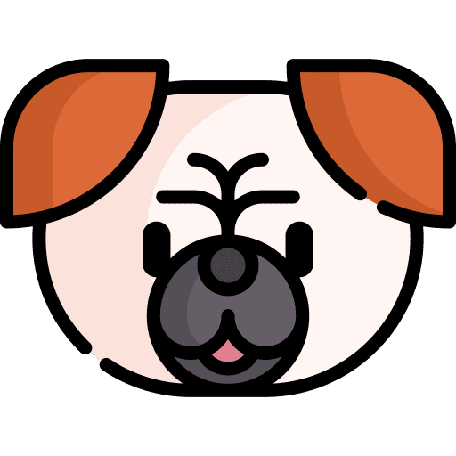 Pug animals zoology animal kingdom icon