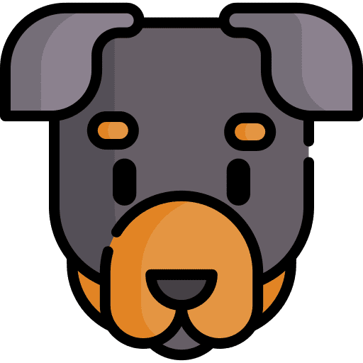 Rottweiler animal kingdom zoology pet icon