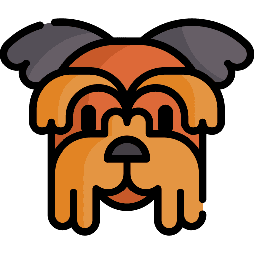 Yorkshire terrier dog breed zoology icon