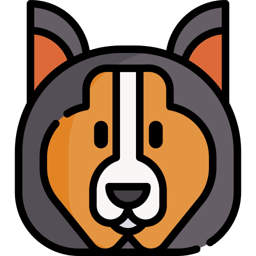 Collie zoology animal kingdom breed icon