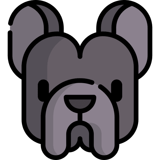 French bulldog breed french bulldog dog icon