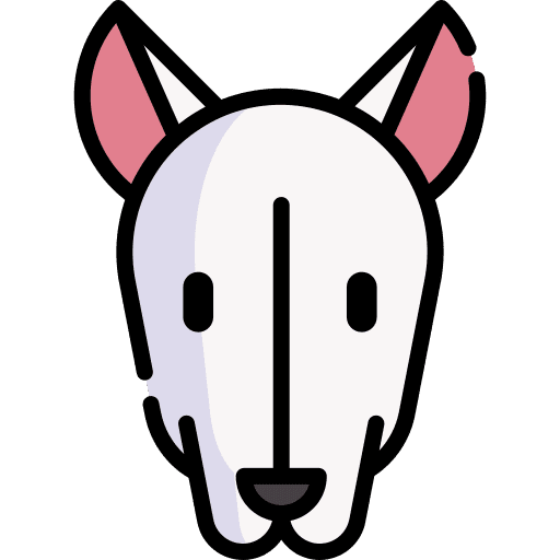 Greyhound animal kingdom pet zoology icon