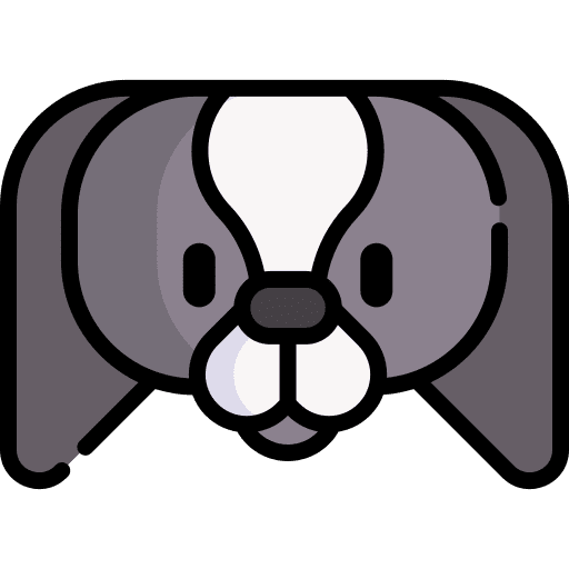 Japanese chin pet dog zoology icon