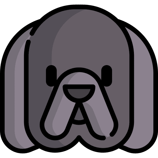 Newfoundland pet breed dog icon