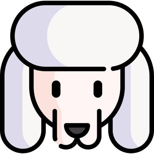 Poodle breed pet zoology icon