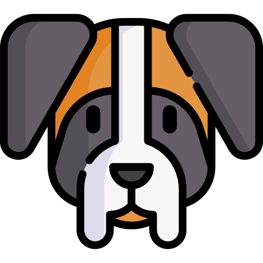 Saint bernard breed animals zoology icon