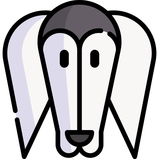 Saluki dog zoology pet icon