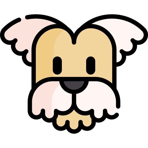Shih tzu animal kingdom pet breed icon
