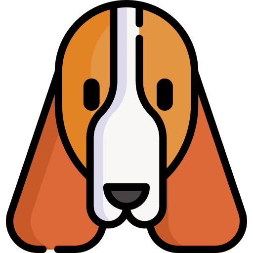 Springer spaniel zoology breed pet icon