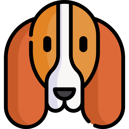 Basset hound animal kingdom animals breed icon