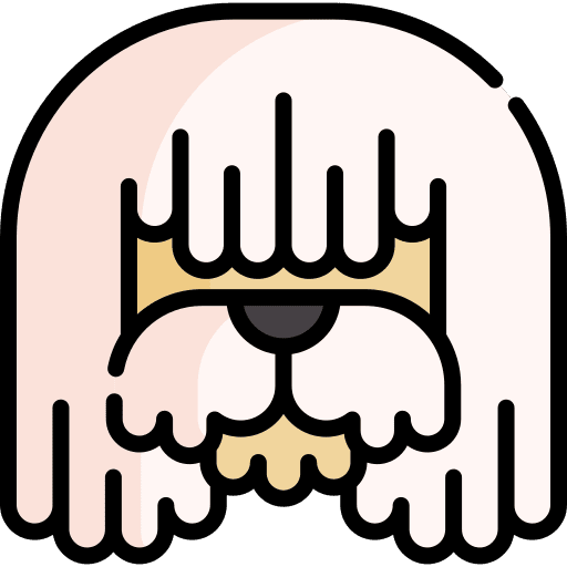 Bergamasco zoology breed animals icon