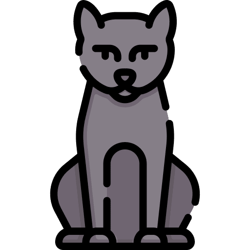 Cat animals cat mammal icon