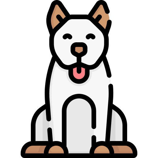 Dog breed animal pet icon