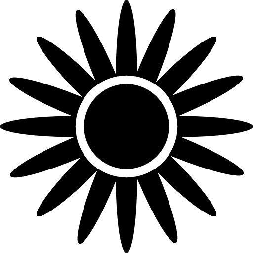 Flower of many petals flowers shape many icon