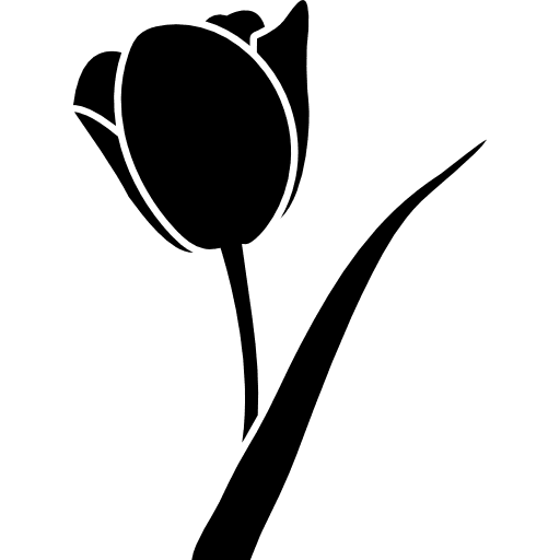 Flower shape petals gift flower icon