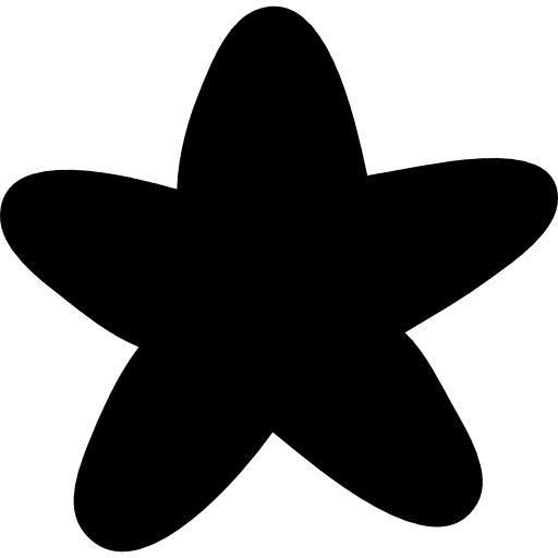 Favourite rate star rate favorite interface icon