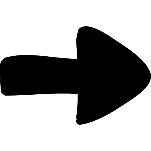 Right arrow arrows next right arrow icon