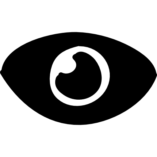 Eye closeup visibility view medical icon