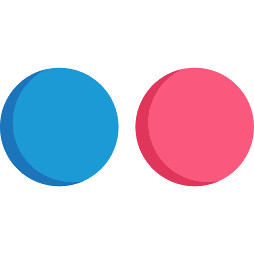 Flickr brand brands and logotypes social network icon