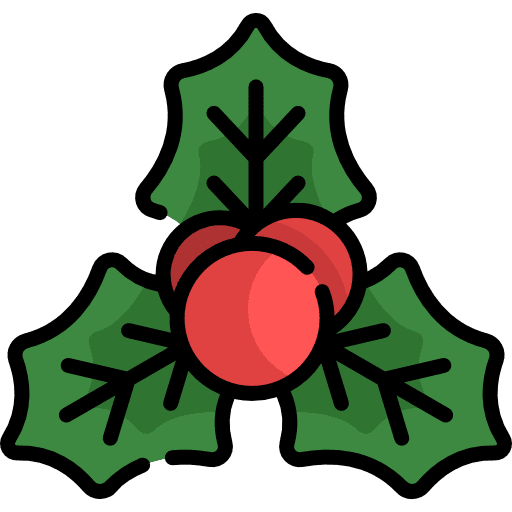 Mistletoe noel christmas decoration icon