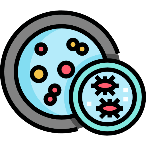 Bacteria coronavirus bacteria biology icon