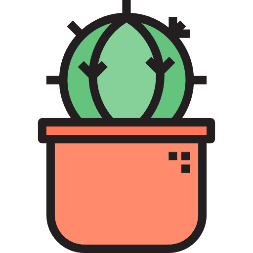 Cactus dessert cactus plant icon