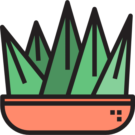 Cactus dessert dry plant icon