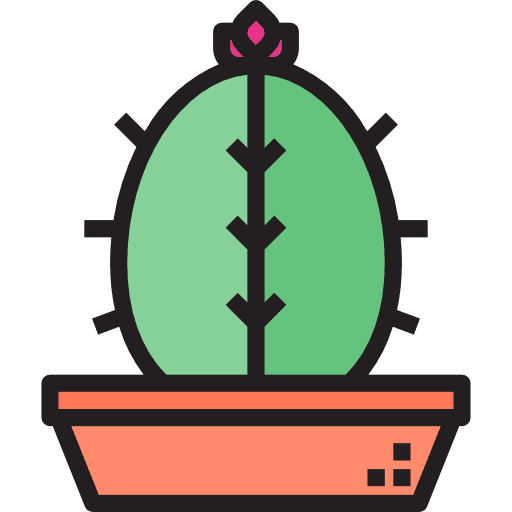 Cactus botanical dry dessert icon