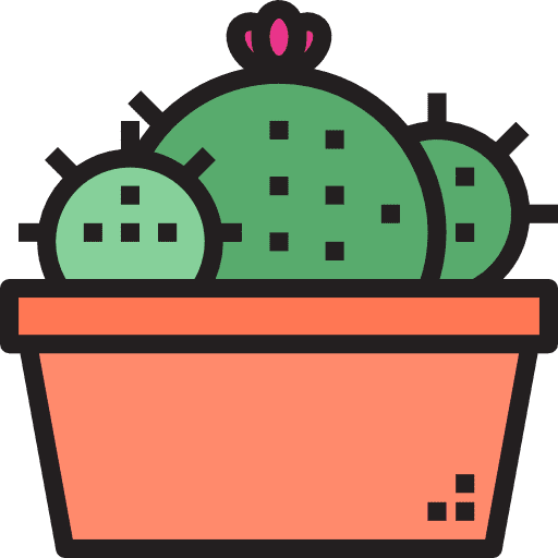 Cactus botanical plant cactus icon