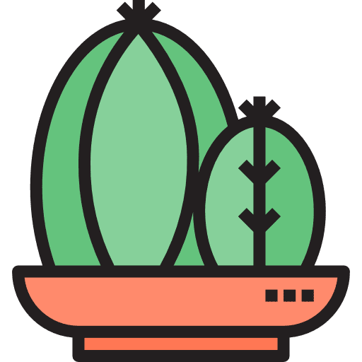 Cactus botanical plant dessert icon