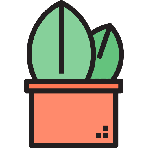 Cactus cactus botanical dessert icon