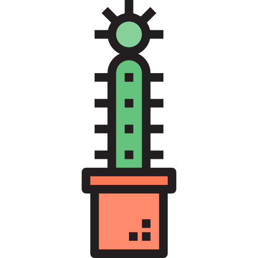 Cactus dessert plant nature icon