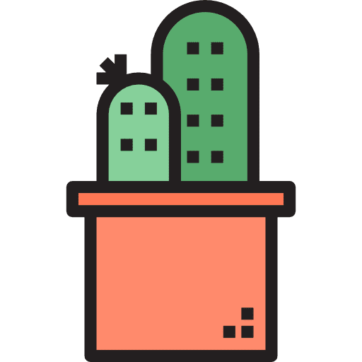 Cactus dry plant cactus icon