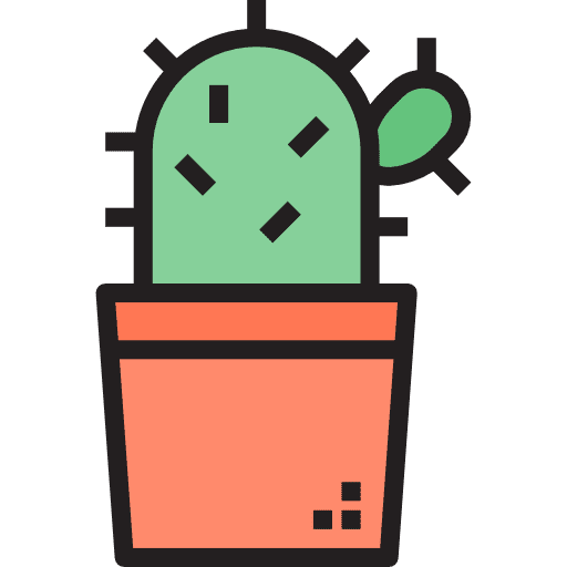 Cactus nature plant cactus icon