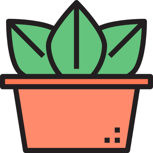 Cactus dessert nature dry icon