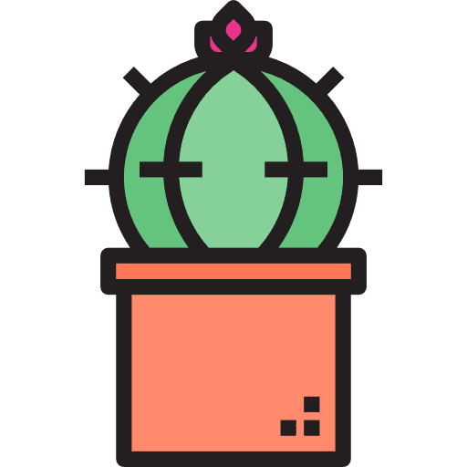 Cactus dry plant dessert icon