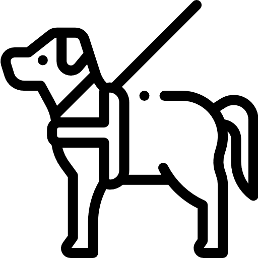 Dog walking animals healthcare and medical icon