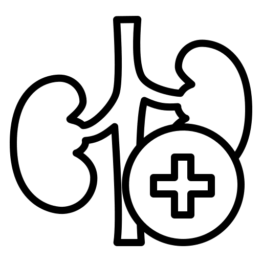 Kidney anatomy kidney kidneys icon