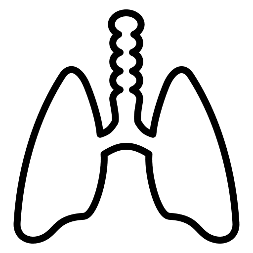 Lungs lung lungs anatomy icon