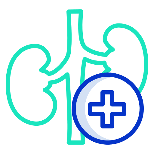 Kidney healthcare and medical clinic urology icon