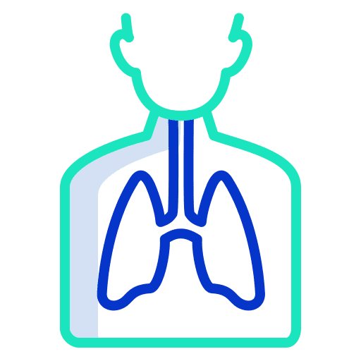 Lungs anatomy breath people icon