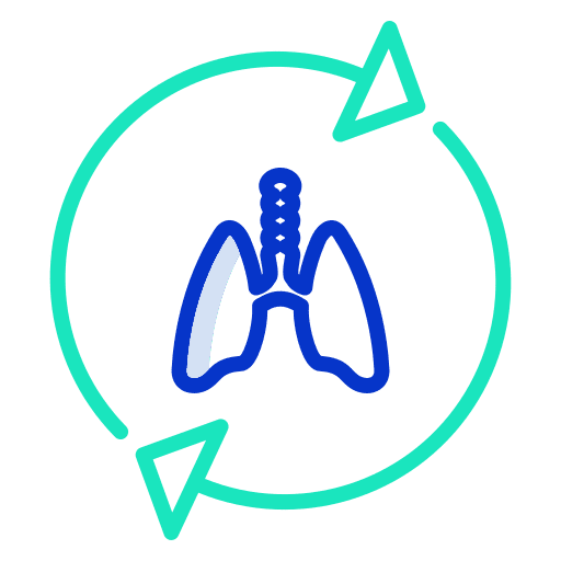 Lungs care breath lung icon