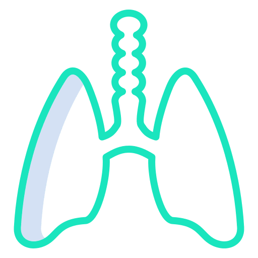 Lungs healthcare and medical lungs breath icon