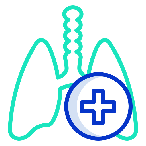 Lungs organ breath lungs icon