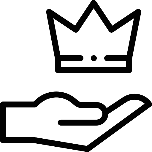 Premium electrical service premium service icon