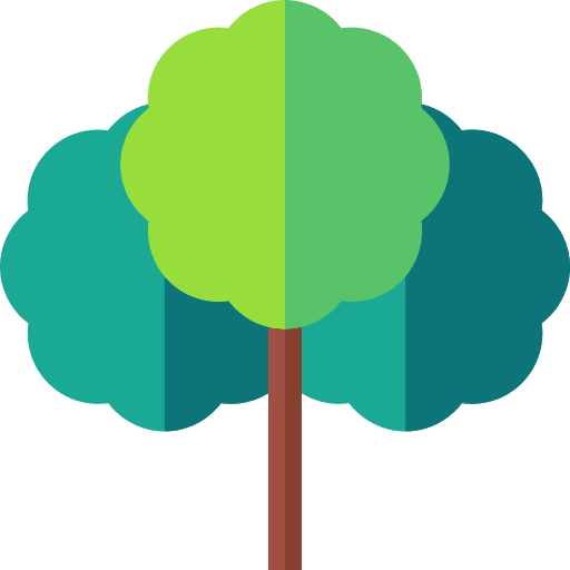 Cinnamon tree nature botanic garden icon