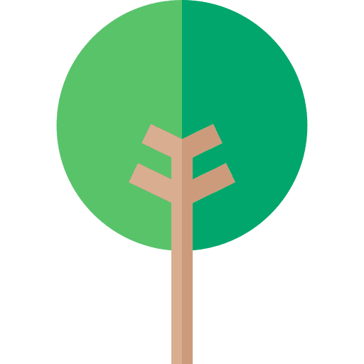 Cocoa tree cocoa tree tree botanic icon