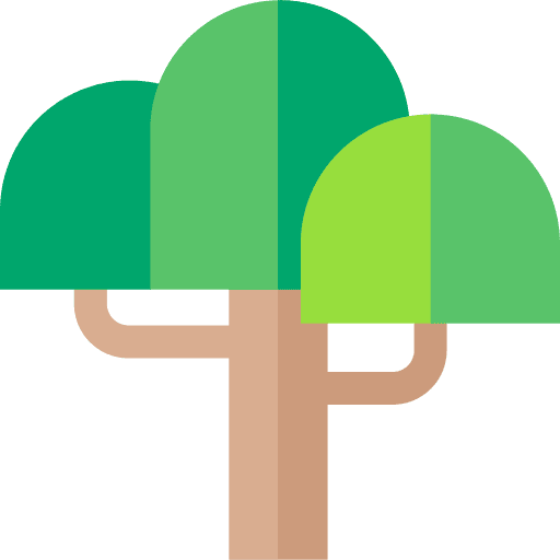 Willow ecology botanical willow icon